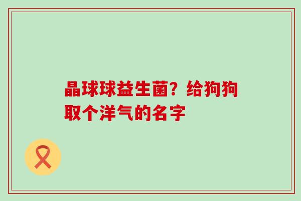 晶球球益生菌？给狗狗取个洋气的名字