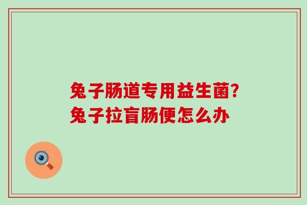 兔子肠道专用益生菌？兔子拉盲肠便怎么办
