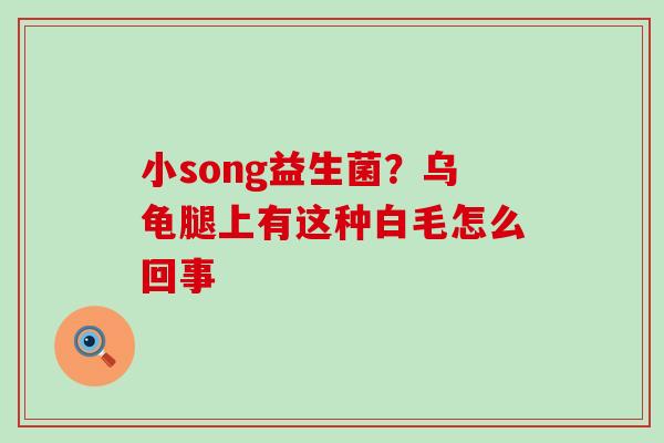 小song益生菌？乌龟腿上有这种白毛怎么回事