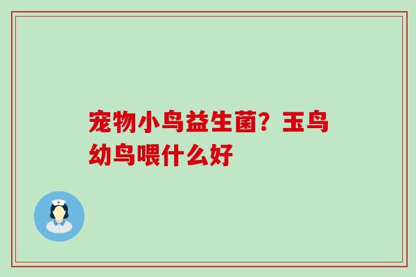 宠物小鸟益生菌？玉鸟幼鸟喂什么好