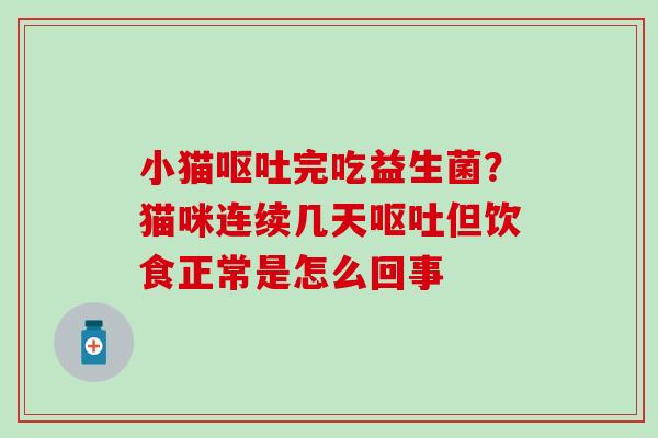 小猫完吃益生菌？猫咪连续几天但饮食正常是怎么回事
