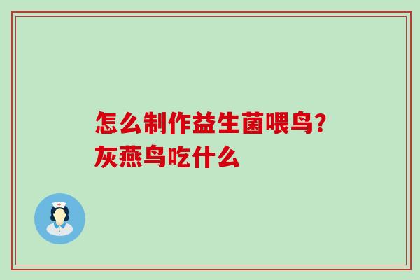 怎么制作益生菌喂鸟？灰燕鸟吃什么