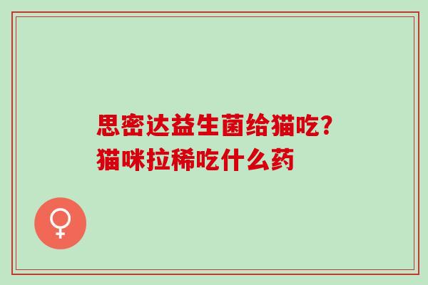思密达益生菌给猫吃？猫咪拉稀吃什么药