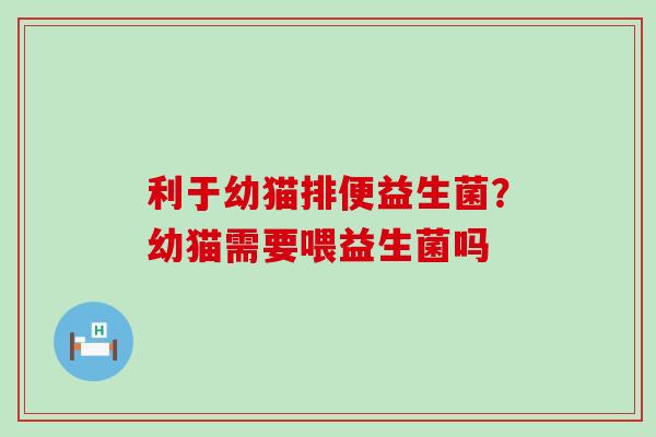 利于幼猫排便益生菌？幼猫需要喂益生菌吗