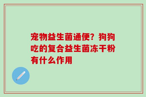 宠物益生菌通便？狗狗吃的复合益生菌冻干粉有什么作用