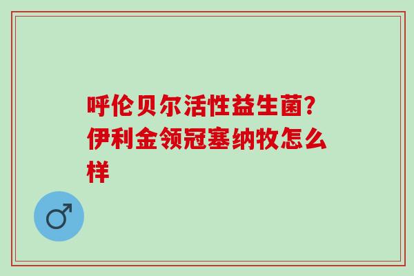 呼伦贝尔活性益生菌？伊利金领冠塞纳牧怎么样