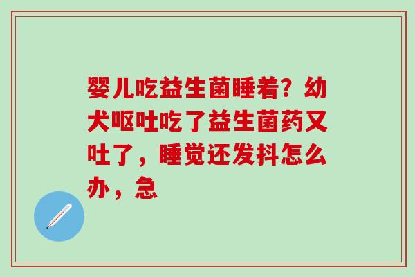 婴儿吃益生菌睡着？幼犬吃了益生菌药又吐了，睡觉还发抖怎么办，急