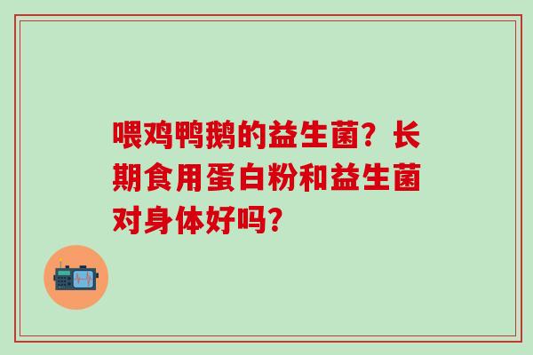 喂鸡鸭鹅的益生菌？长期食用蛋白粉和益生菌对身体好吗？