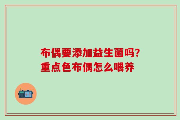 布偶要添加益生菌吗？重点色布偶怎么喂养