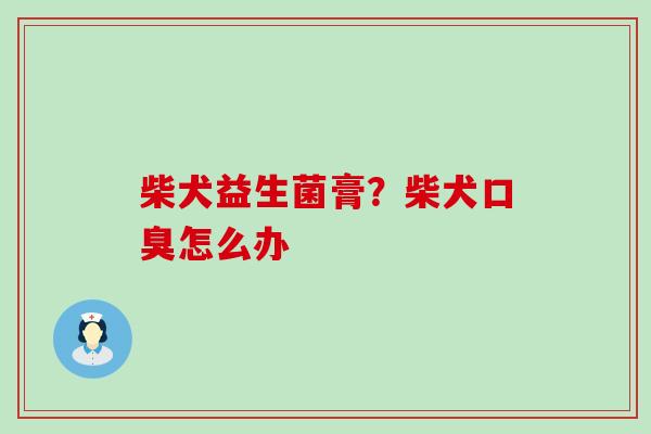 柴犬益生菌膏？柴犬怎么办