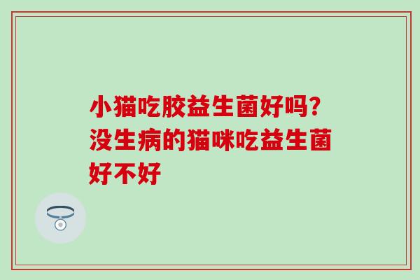 小猫吃胶益生菌好吗？没生的猫咪吃益生菌好不好