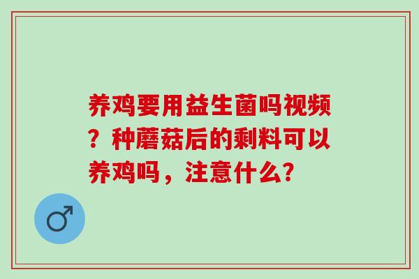 养鸡要用益生菌吗视频？种蘑菇后的剩料可以养鸡吗，注意什么？