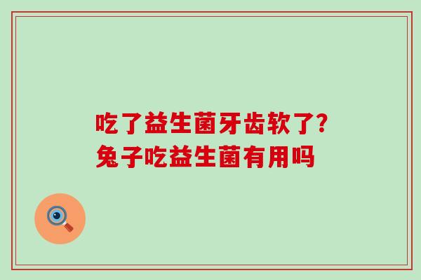吃了益生菌牙齿软了？兔子吃益生菌有用吗
