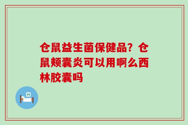 仓鼠益生菌保健品？仓鼠颊囊炎可以用啊么西林胶囊吗