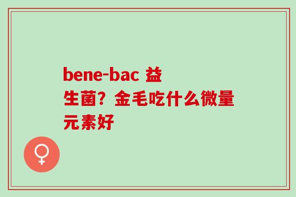 bene-bac 益生菌？金毛吃什么微量元素好
