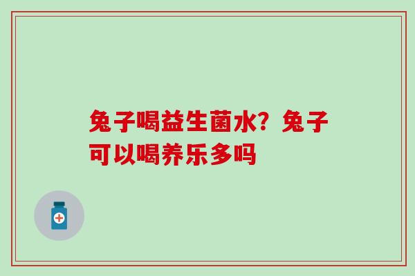 兔子喝益生菌水?兔子可以喝养乐多吗 兔子喝益生菌水?兔子可以喝养乐多吗