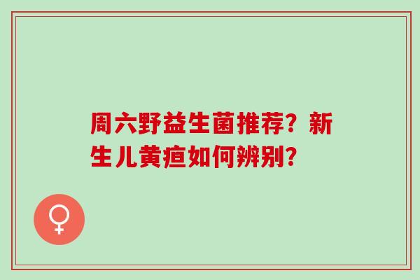 周六野益生菌推荐？新生儿黄疸如何辨别？