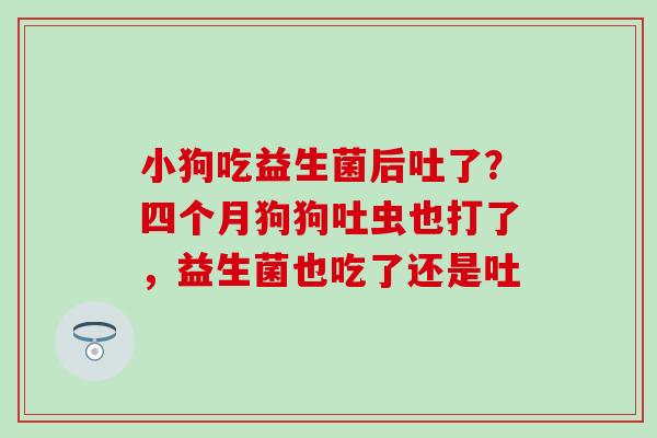 小狗吃益生菌后吐了?四个月狗狗吐虫也打了,益生菌也吃了还是吐 小狗吃益生菌后吐了?四个月狗狗吐虫也打了,益生菌也吃了还是吐