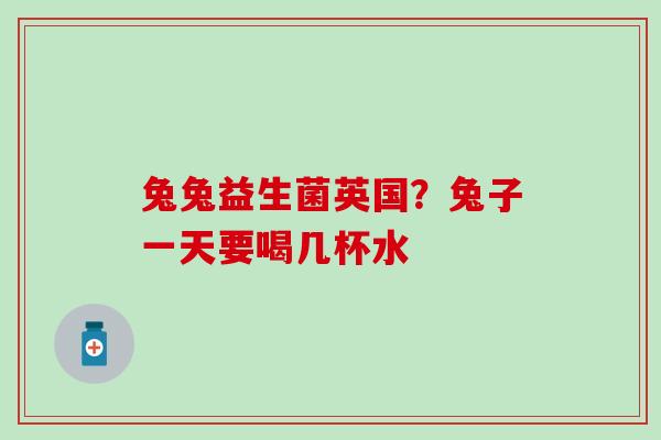 兔兔益生菌英国？兔子一天要喝几杯水