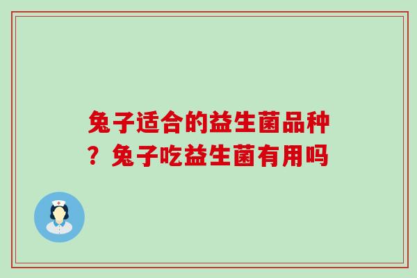 兔子适合的益生菌品种?兔子吃益生菌有用吗 兔子适合的益生菌品种?兔子吃益生菌有用吗