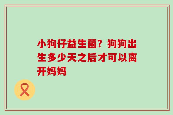小狗仔益生菌？狗狗出生多少天之后才可以离开妈妈