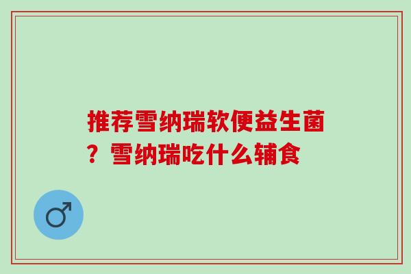 推荐雪纳瑞软便益生菌？雪纳瑞吃什么辅食