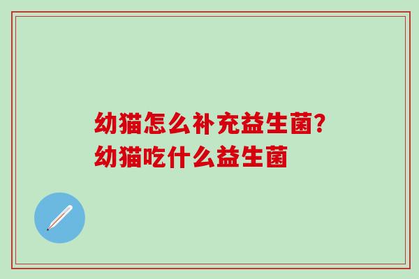 幼猫怎么补充益生菌？幼猫吃什么益生菌