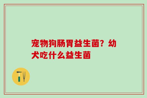 宠物狗肠胃益生菌？幼犬吃什么益生菌