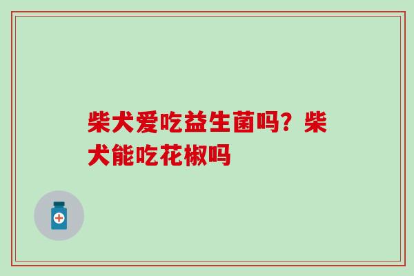 柴犬爱吃益生菌吗？柴犬能吃花椒吗