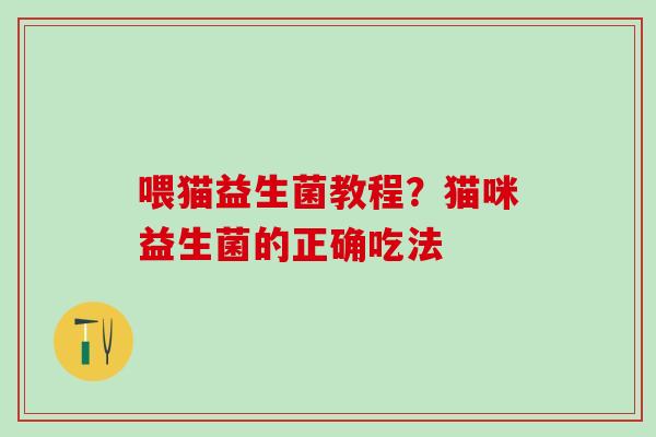 喂猫益生菌教程？猫咪益生菌的正确吃法