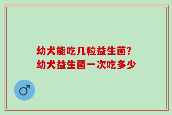 幼犬能吃几粒益生菌？幼犬益生菌一次吃多少