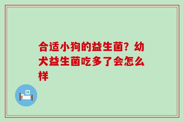 合适小狗的益生菌？幼犬益生菌吃多了会怎么样