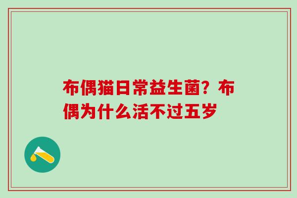 布偶猫日常益生菌？布偶为什么活不过五岁