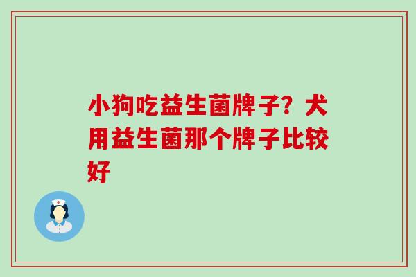 小狗吃益生菌牌子？犬用益生菌那个牌子比较好