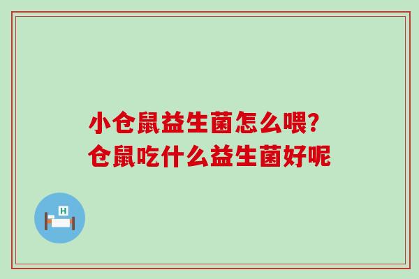 小仓鼠益生菌怎么喂？仓鼠吃什么益生菌好呢