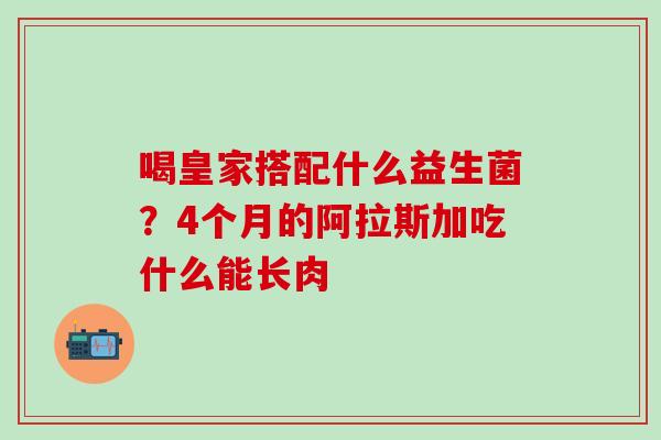 喝皇家搭配什么益生菌？4个月的阿拉斯加吃什么能长肉