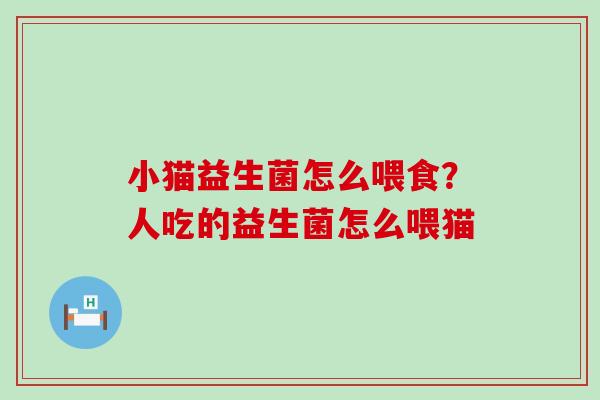 小猫益生菌怎么喂食？人吃的益生菌怎么喂猫