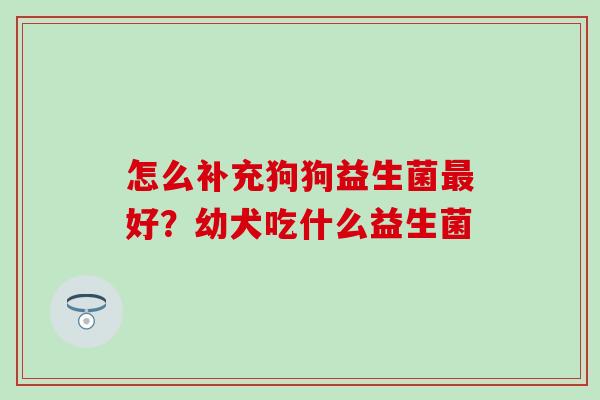 怎么补充狗狗益生菌好？幼犬吃什么益生菌