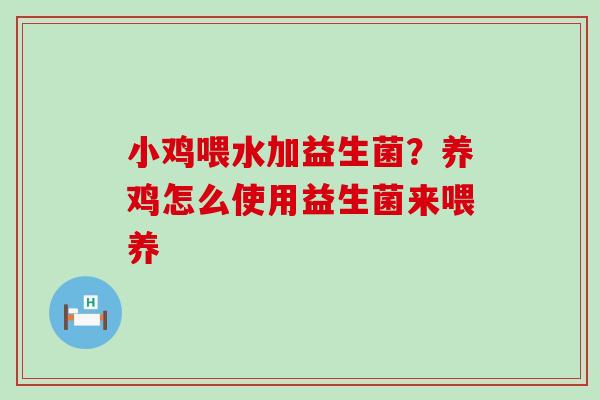 小鸡喂水加益生菌？养鸡怎么使用益生菌来喂养