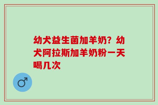 幼犬益生菌加羊奶？幼犬阿拉斯加羊奶粉一天喝几次
