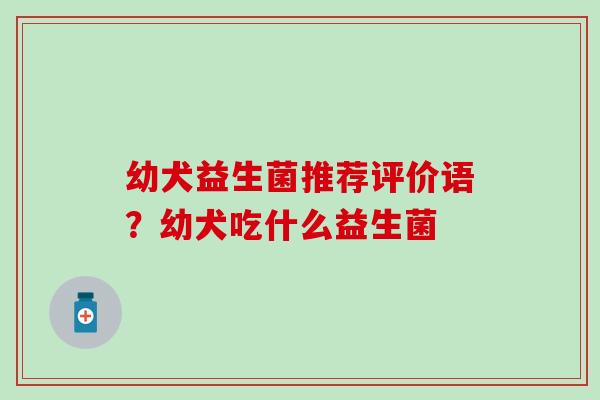 幼犬益生菌推荐评价语？幼犬吃什么益生菌