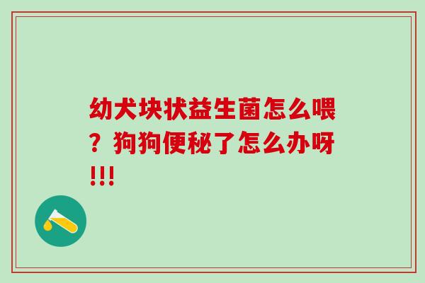 幼犬块状益生菌怎么喂？狗狗了怎么办呀!!!