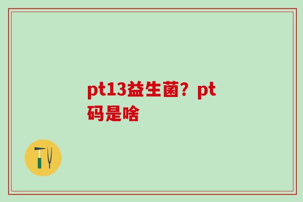 pt13益生菌？pt码是啥