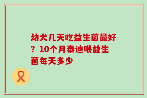 幼犬几天吃益生菌好？10个月泰迪喂益生菌每天多少