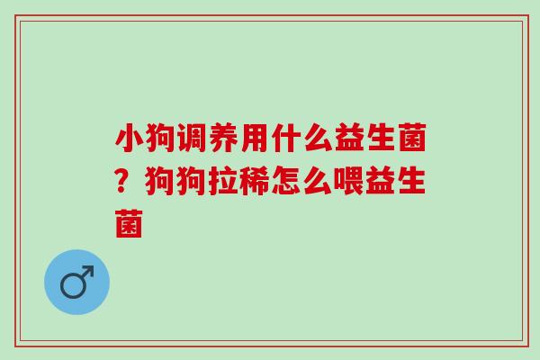 小狗调养用什么益生菌？狗狗拉稀怎么喂益生菌