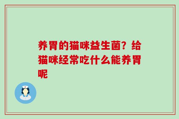 养胃的猫咪益生菌？给猫咪经常吃什么能养胃呢