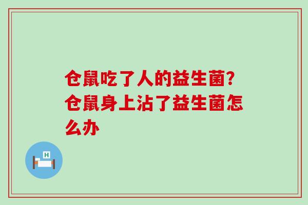 仓鼠吃了人的益生菌？仓鼠身上沾了益生菌怎么办
