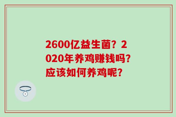 2600亿益生菌？2020年养鸡赚钱吗？应该如何养鸡呢？