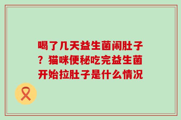 喝了几天益生菌闹肚子？猫咪吃完益生菌开始拉肚子是什么情况