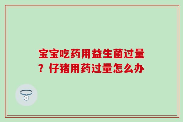 宝宝吃药用益生菌过量？仔猪用药过量怎么办